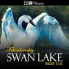 Swan Lake, Op. 20: No. 20 Danse Hongroise: Czardas - Moderato Assai - Vladimir Fedoseyev