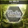 Jungle - Dj Milo