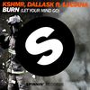 Burn(Let Your Mind Go)(feat. Luciana) (Extended Mix) - KSHMR&DallasK&Luciana