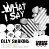 What I Say (Original Mix) - Olly Barkins