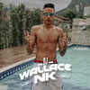 TA TE OLHANDO PORQUE QUER TE DAR (Explicit) - Dj Wallace Nk&MC Trapy&Mc Kalzin&MC RD