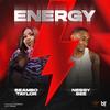 Energy (feat. Nessy Bee) - Beambo Taylor.&Nessy Bee