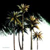 Palmtrees - Ill Slim Collin