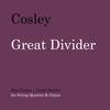 Great Divider - Dan Cosley