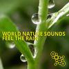 Rain Sound in a Night of May - World Nature Sounds