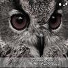 Oor Kanaal (Original Mix) - Frankh Oren