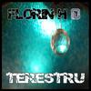 Terestru (Original Mix) - Florin H