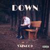 Down (Explicit) - VAIN669