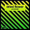 Provincial - Dried Flower