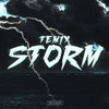 Storm (Explicit) - TEMIX