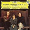 Trio for Piano, Violin and Violoncello, Op. 87 3. Scherzo. Presto - Augustin Dumay&王健