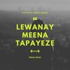 Lewanay Meena Tapayeze - Rehan Shah