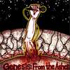 Genesis:from the Ashes(Introduction) - Ambiguous