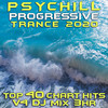 We Built This Shelter To Burn It Down (Psy Chill Progressive Trance 2020, Vol. 4 Dj Mixed) - Static Noise Bird