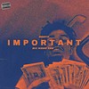 IMPORTANT (feat. Six Ward Von) (Explicit) - lilhgroove&Six Ward Von