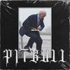 Pitbull (Explicit) - Jimmy Teflon