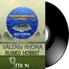 Ruined Hobbit (Original Mix) - Valeriy Khoma