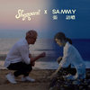 Somebody Like You (Duet Version) - Sheppard&张语哝