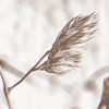 Entropy - Chemie