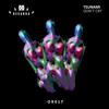 Don't Cry - Tsunami