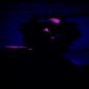 Evolve (feat. Bryn Morgan) - Prismo Eclectic&Bryn Morgan