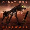 Secret Souls - X-Ray Dog