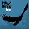 Free - Pete Murray