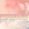 Scraves Pluck Fullbass - RYAN 4PLAY&DJ Breakbeats