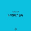 Without You (Original Mix) - Serge:Ok&Purple Hat