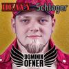 Hy Polizei - Dominik Ofner