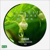 Song of The Peeper Frog (Original Mix) - Sue La Vie