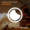 Synergy (Original Mix) - kiran m sajeev