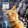 Broken Glass(feat. Saffi) (Explicit) - nokia.&Saffi