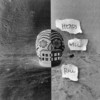 Heads Will Roll - Notelle