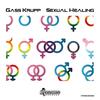 Sexual Healing (Gass Krupp Madamegu Edit) - Gass Krupp