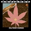 RESEVOIR DOGS (feat. Mac-G) (Explicit) - SlowBurnCrew&Mac-G