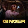 Ginger - Godsgift music