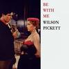 I Can't Stop - Wilson Pickett