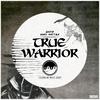 True Warrior(feat. Dark Matter) - D3XTR&Dark Matter