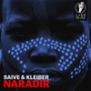 All of Which Were Dreams - Saive&Kleiber