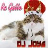 Re gatto - DJ Joys