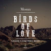 Birds Of Love (Sander Kleinenberg Remix) - Monn
