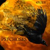 Psychoses - 4nzek