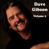 Goodbye Party - Dave Gibson