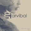 Replace You (Original Mix) - Paul Haro