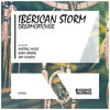 Dreamcatcher (Meeting Molly Remix) - Iberican Storm&Meeting Molly