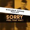 Sorry (Feel that Way) (Edit Mix) - Riccardo Zunino&Pauljey