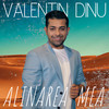 Alinarea Mea - Valentin Dinu