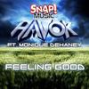 Feeling Good (Original Mix) - Havok (USA)