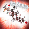 No Stress - Third Sky